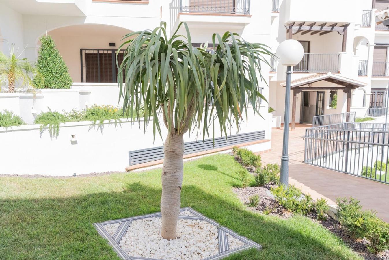 Todimer New Pueblo Mediteraneo Itrabo Dış mekan fotoğraf